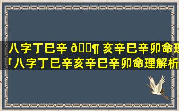 八字丁巳辛 🐶 亥辛巳辛卯命理「八字丁巳辛亥辛巳辛卯命理解析」